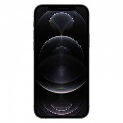 Apple iPhone 12 Pro Max  (256GB) Graphite